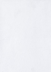203 PU_weiss