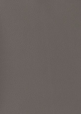 206 PU_cappuccino